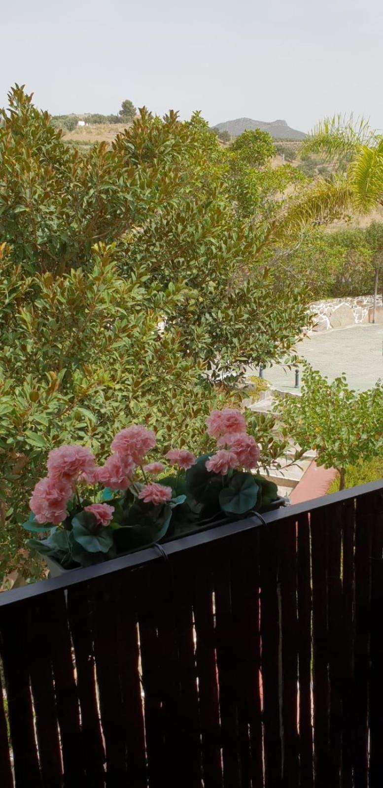 Hotel Cortijo De Salia Alcaucín Pokoj fotografie