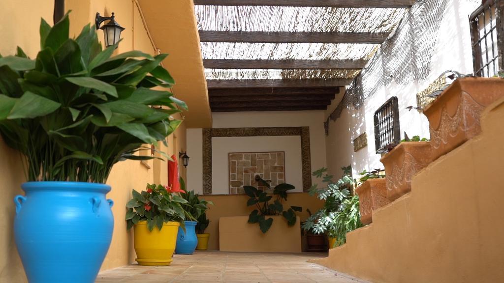 Hotel Cortijo De Salia Alcaucín Exteriér fotografie